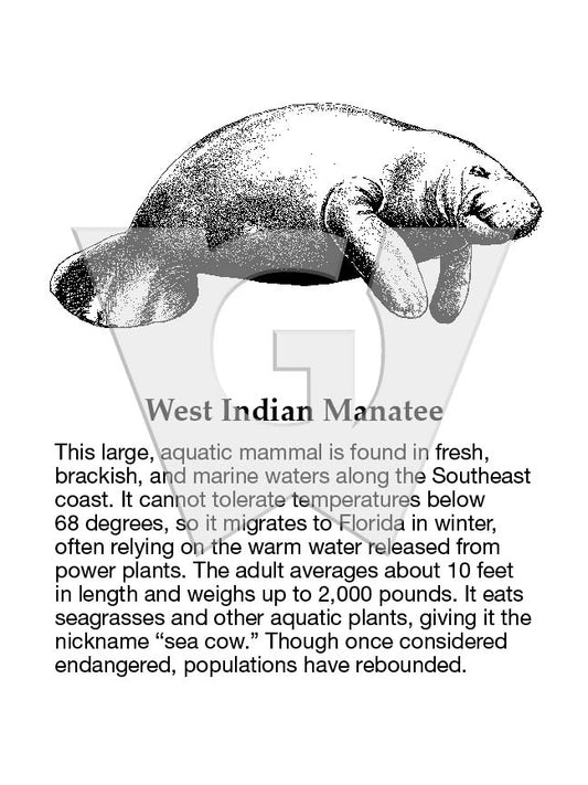 West Indian Manatee Sign