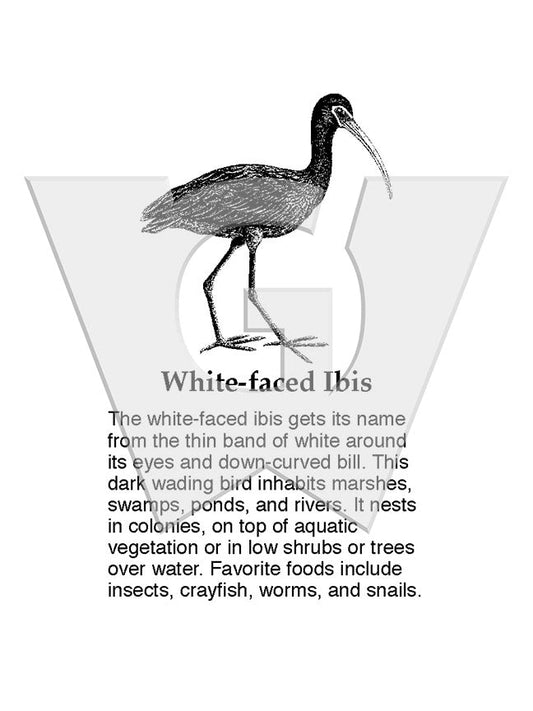 White-faced Ibis Sign