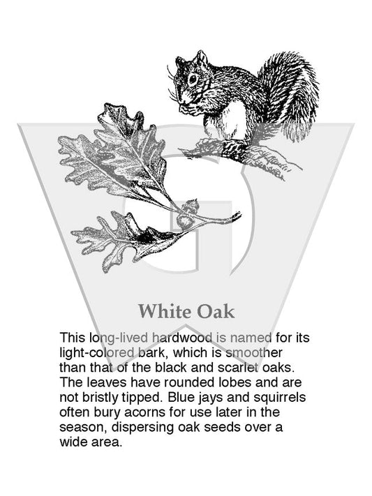 White Oak Sign