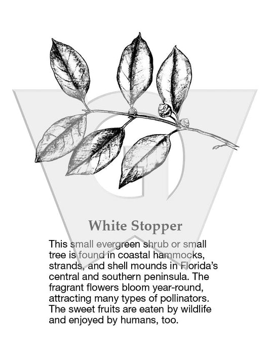 White Stopper Sign
