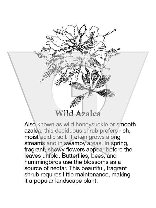 Wild Azalea Sign