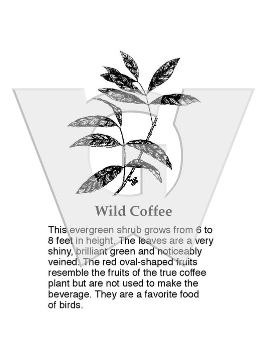 Wild Coffee Sign