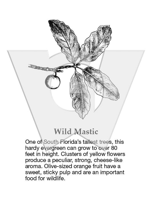 Wild Mastic Sign