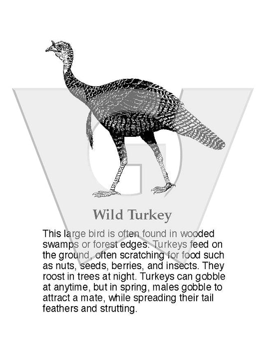 Wild Turkey Sign