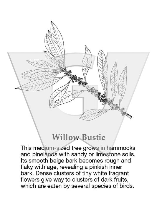 Willow Bustic Sign