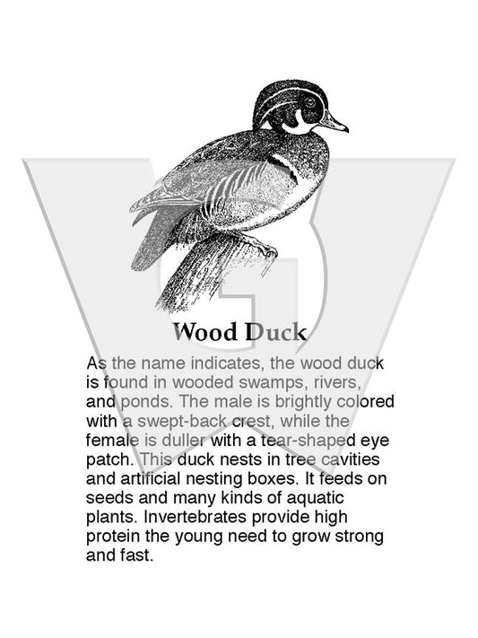 Wood Duck Sign