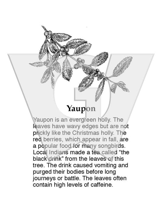 Yaupon Sign