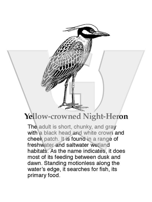 Yellow-crowned Night-Heron Sign
