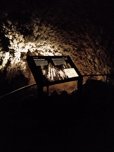 Backlit Aluminum Wayside Mounts at Carlsbad Caverns National Park