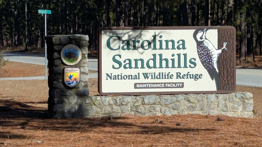 Welcoming Visitors: Custom Routed Entrance Signs at Carolina Sandhills National Wildlife Refuge