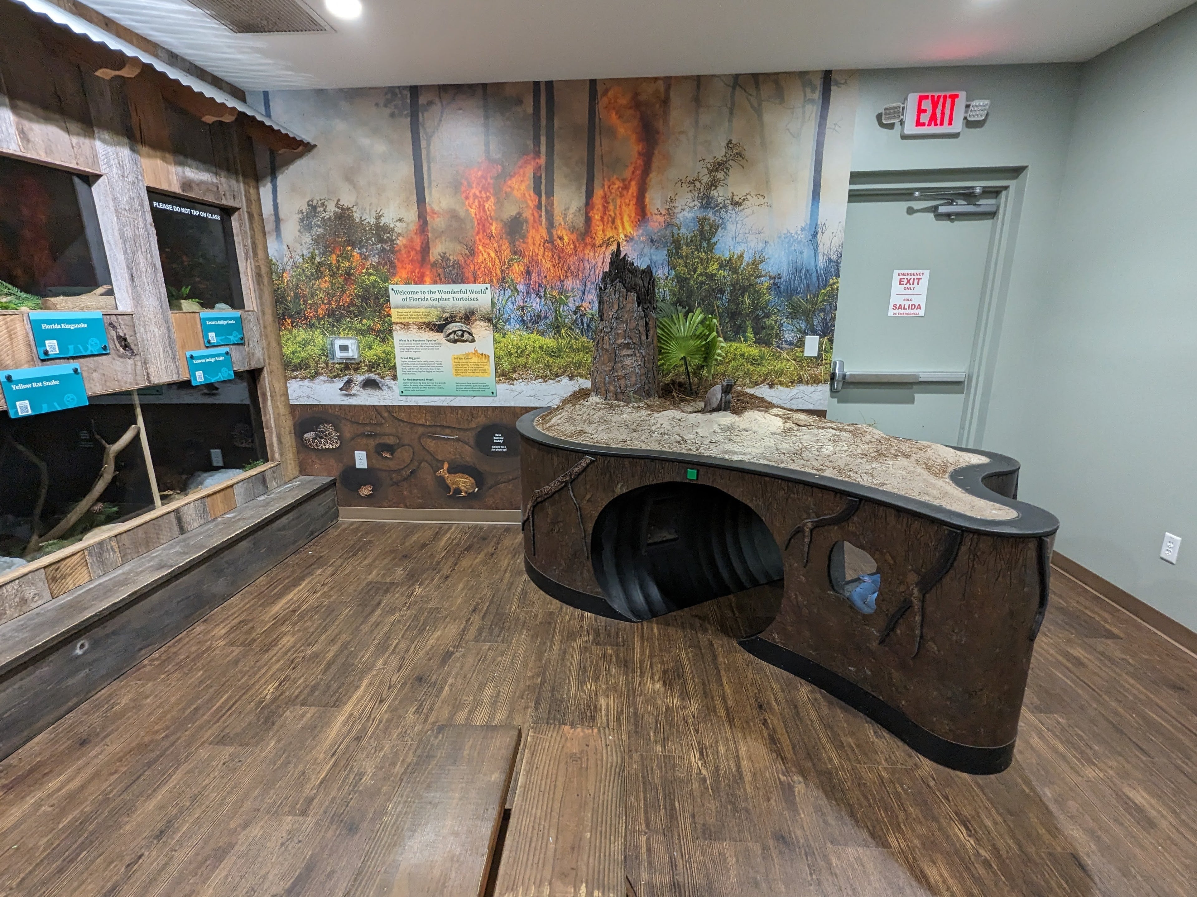 Exhibit inside a building with a large animal exhibit and educational displays.