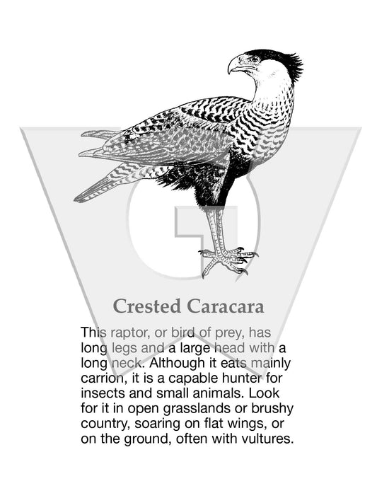 Crested Caracara Sign