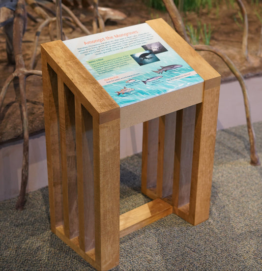 Angled Stand Alone Exhibit