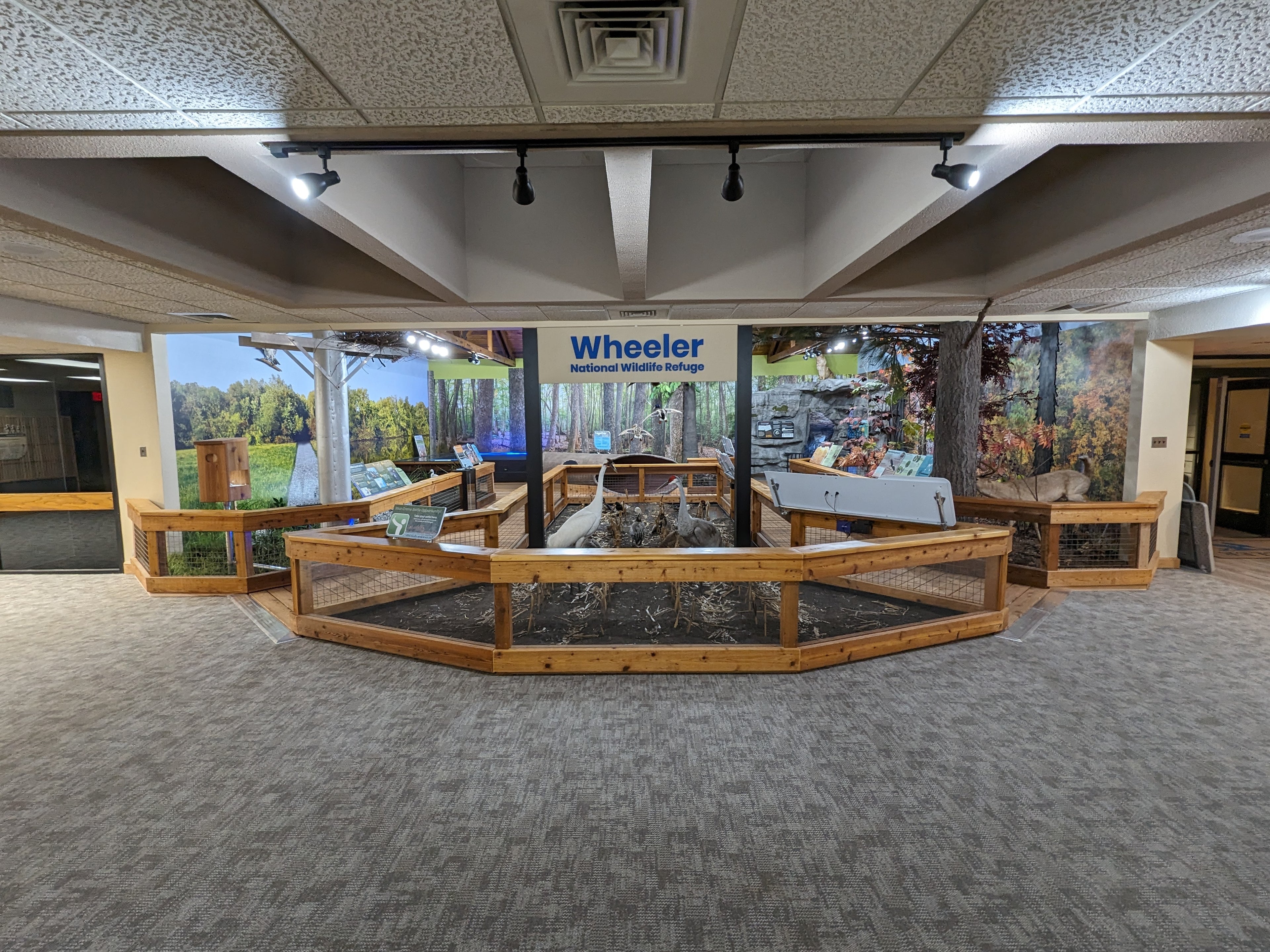 Wheeler NWR Exhibit Hall