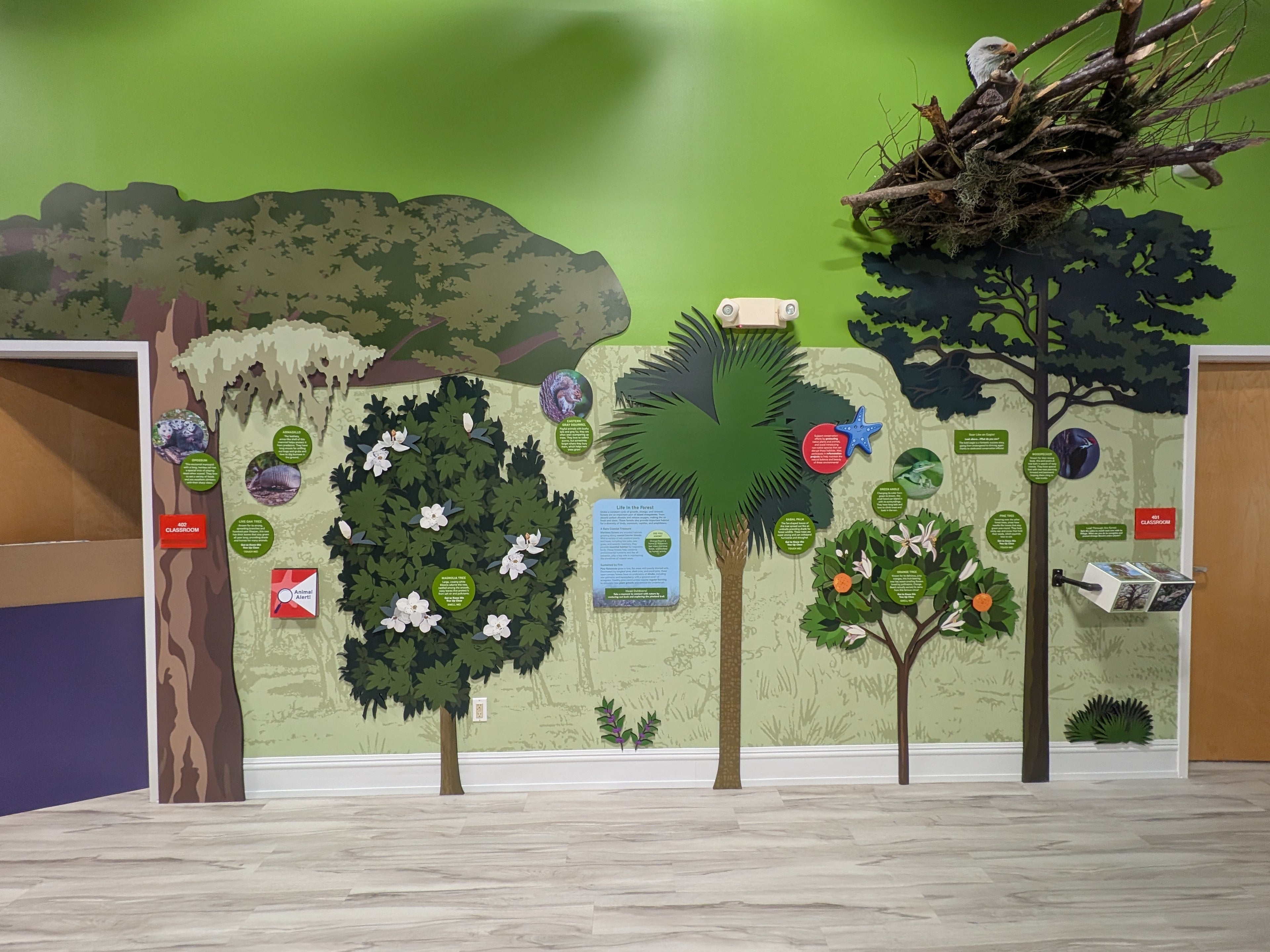 Educational wall mural with trees, plants, and a nest on a green background
