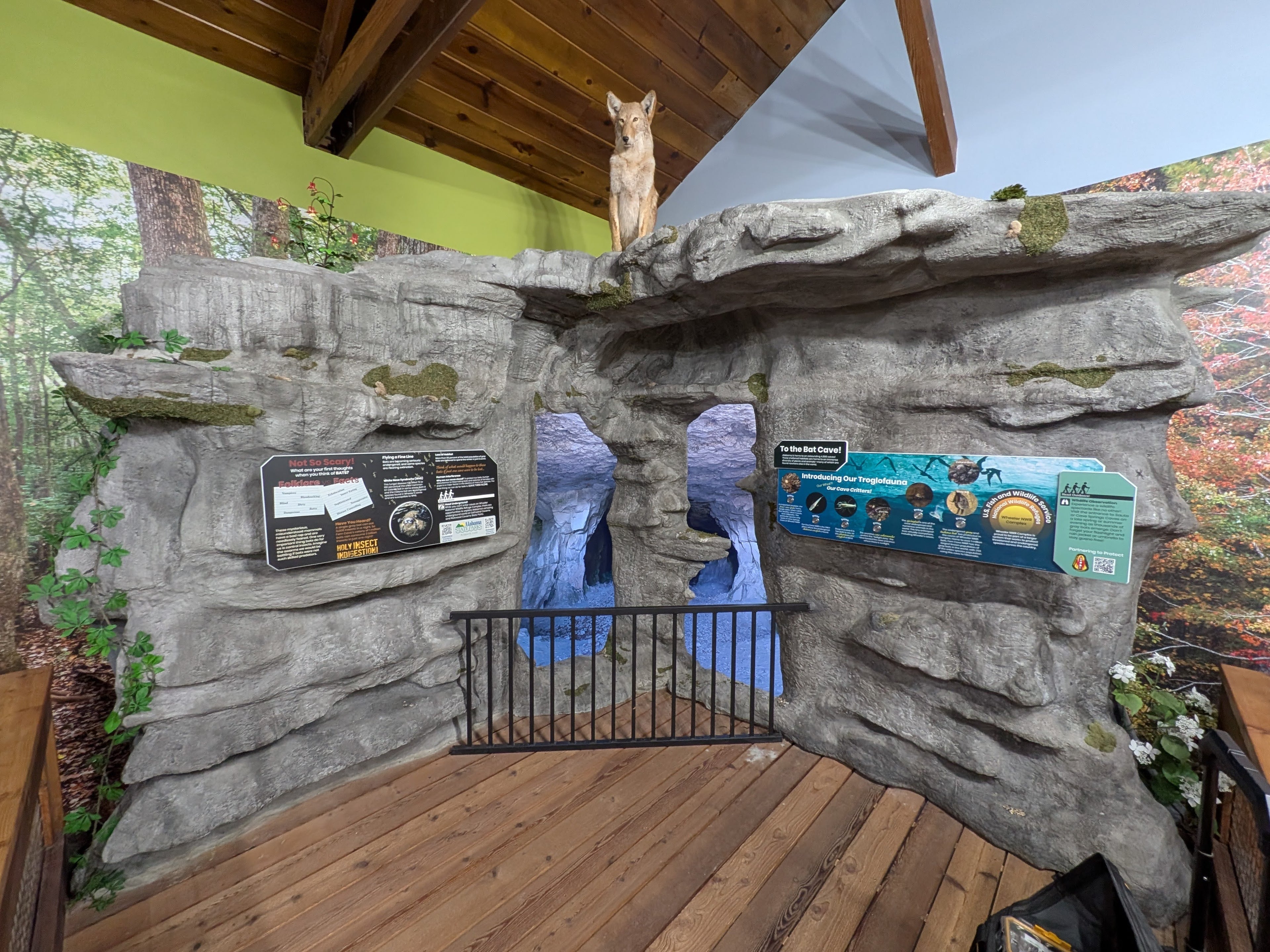 Cave Video Wall