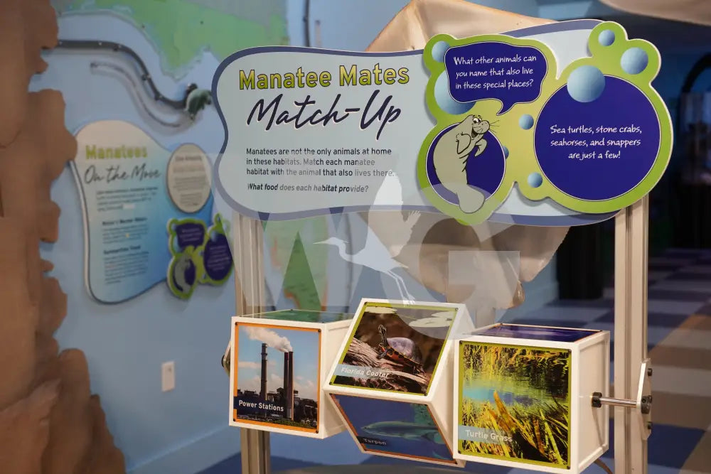 Horizontal Spin Cube Exhibit