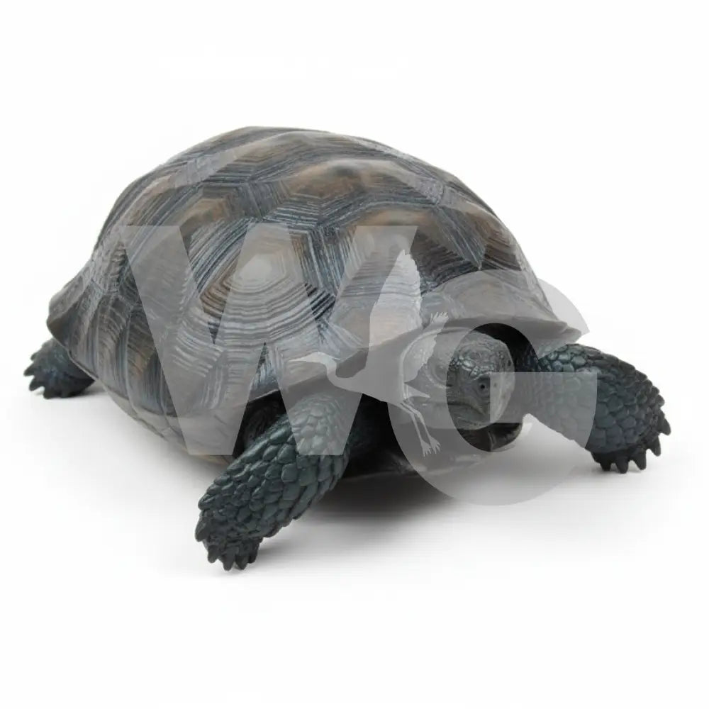 Life Size Gopher Tortoise Diorama Model/Mount