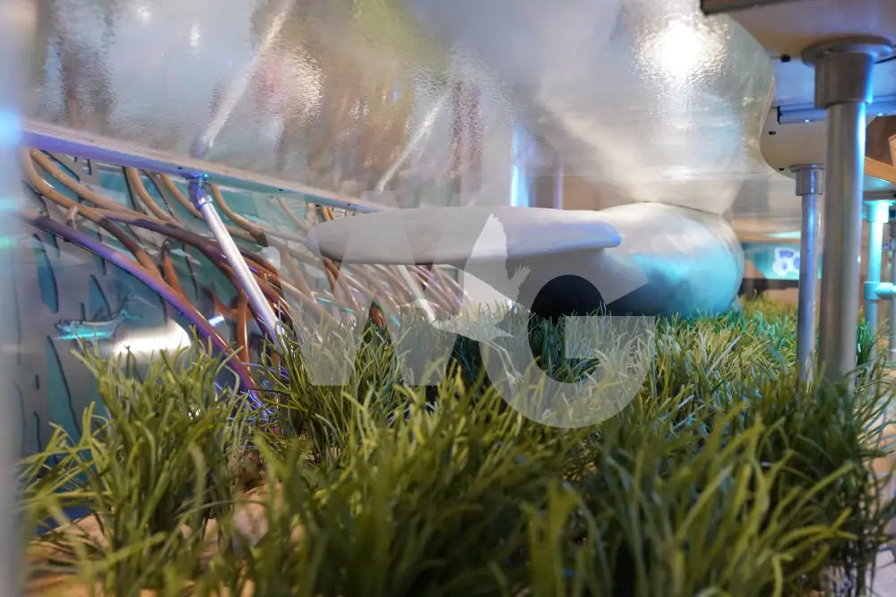 Manatee Diorama Model