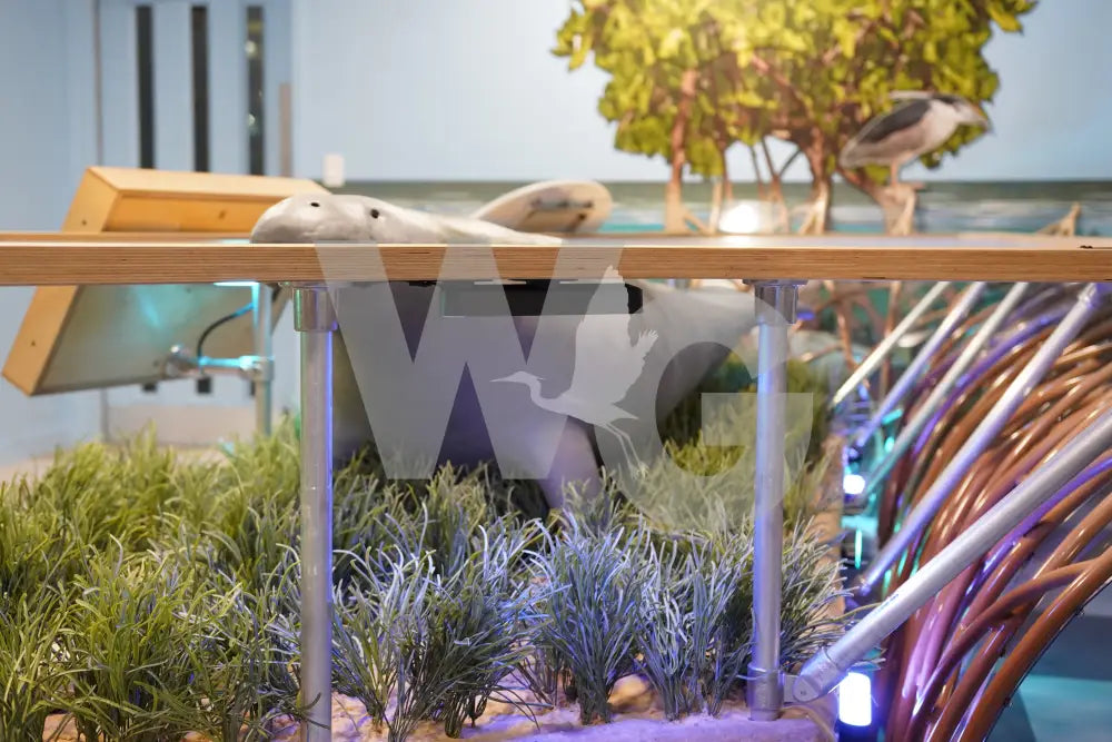 Manatee Diorama Model