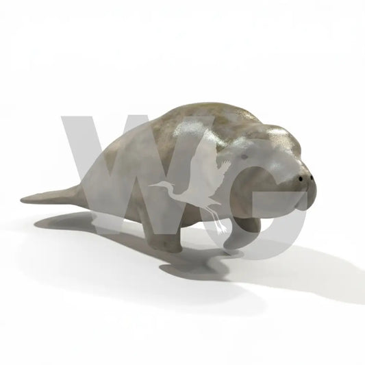 Life Size Manatee Diorama Model/Mount