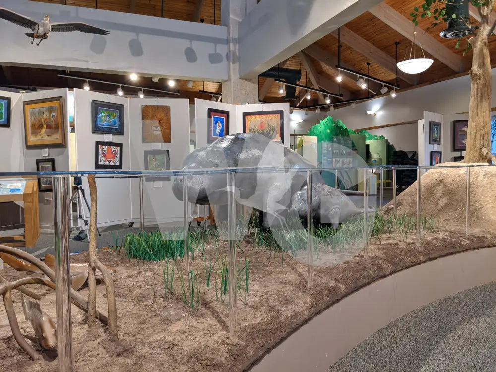 Manatee Diorama Model