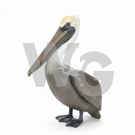 Life Size Pelican Diorama Model/Mount