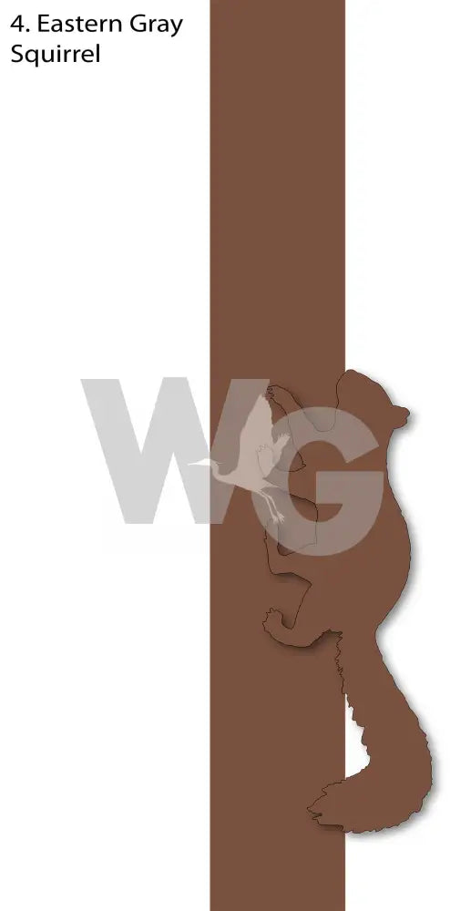 Powder Coated Aluminum Designs Eastern Gray Squirrel
