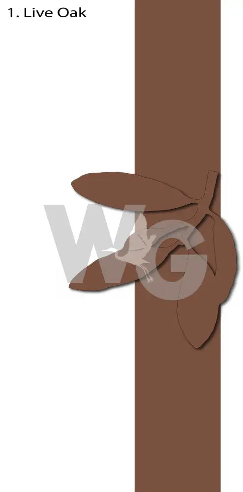 Powder Coated Aluminum Designs Live Oak