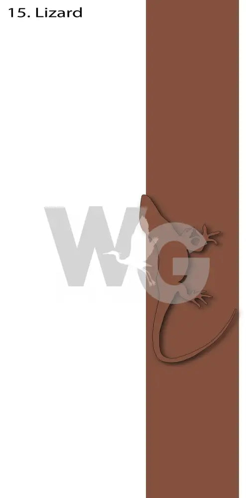 Powder Coated Aluminum Designs Lizard