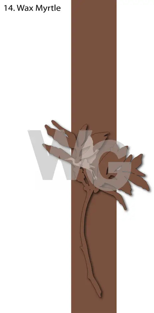 Powder Coated Aluminum Designs Wax Myrtle