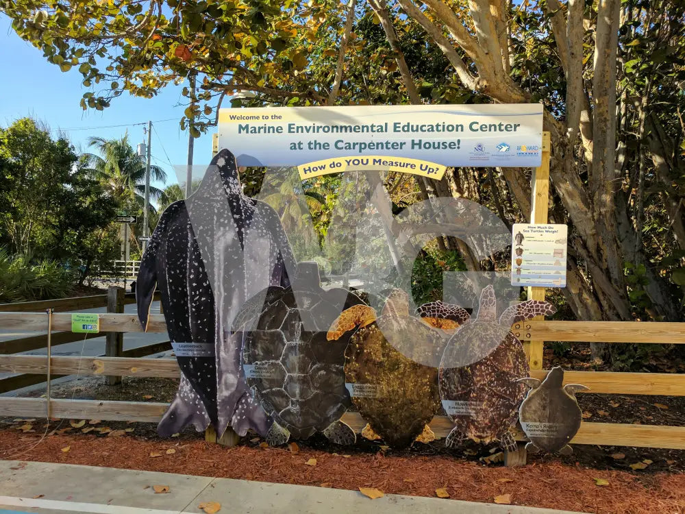 How do you Measure Up Outdoor Exhibit