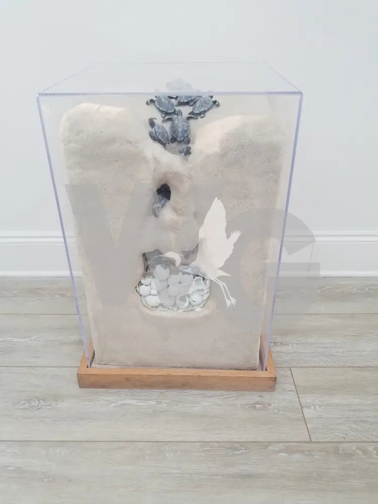 A diorama exhibit of a sea turtle nest with cross-section sand and acrylic enclosure on a wooden base.