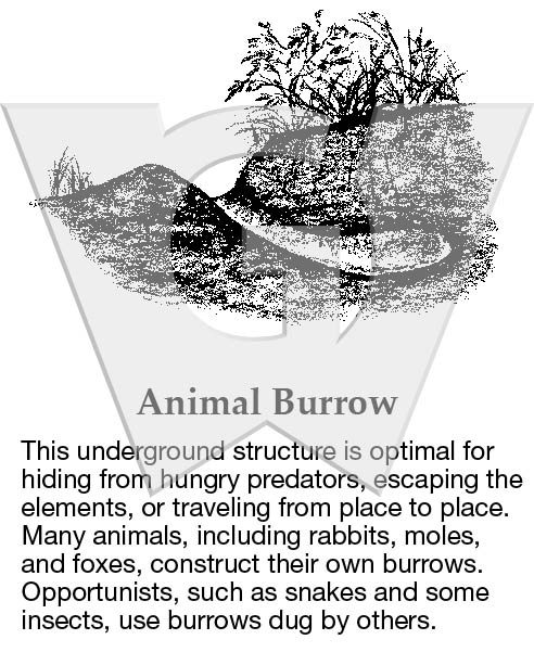 Burrow Letters Animal Burrow Sign – Wilderness Graphics, Inc.