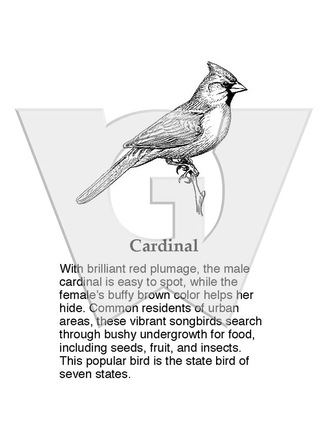 Cardinal Sign – Wilderness Graphics, Inc.