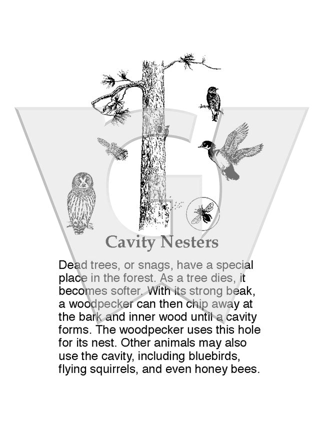 Cavity Nesters Sign – Wilderness Graphics, Inc.