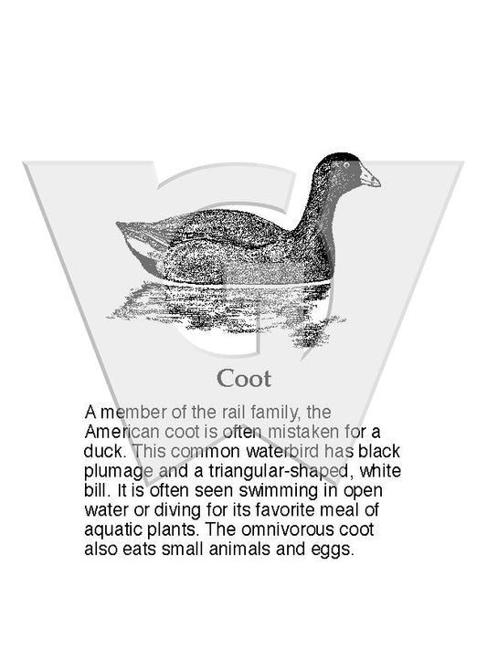 Coot Sign
