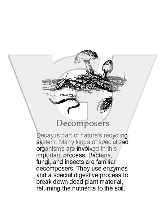 Decomposers Sign