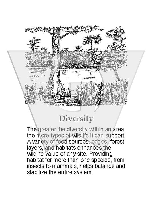 Diversity Sign
