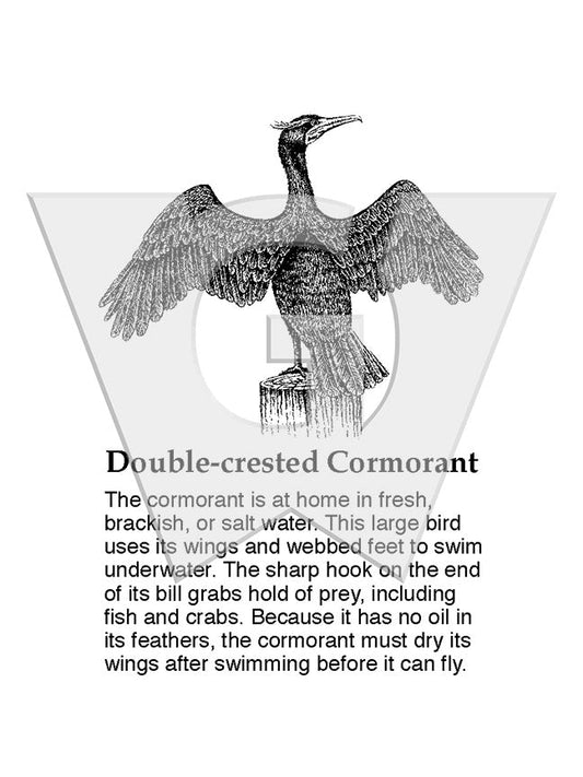 Double-crested Cormorant Sign