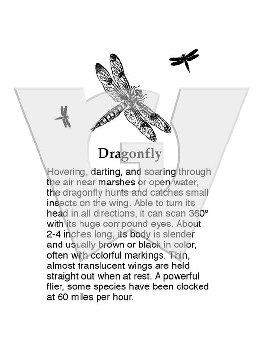 Dragonfly Sign