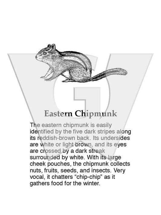 Eastern Chipmunk Sign