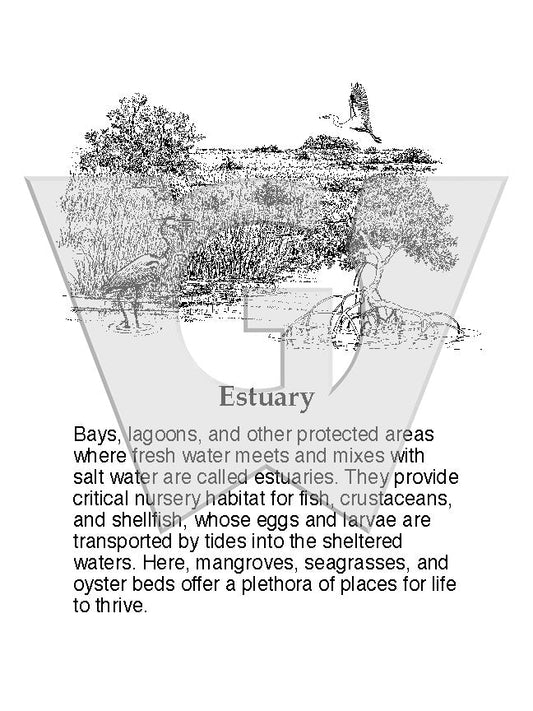 Estuary Sign