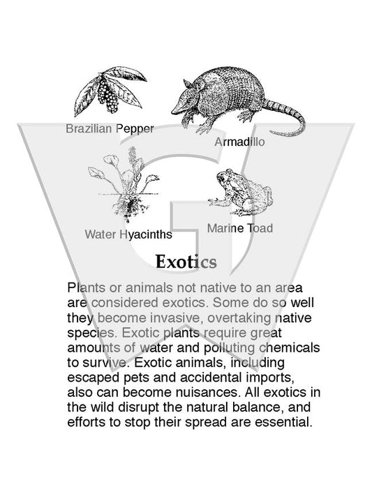 Exotics Sign