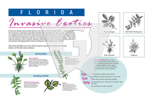An interpretive sign titled 'FLORIDA Invasive Exotics' featuring illustrations and text information about various invasive plant species in Florida.