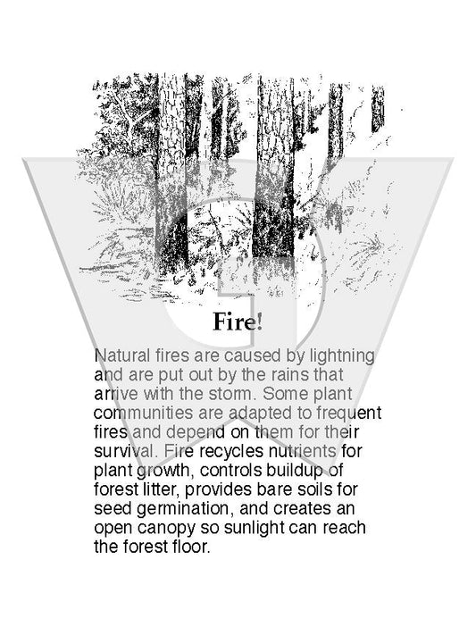 Fire! Sign