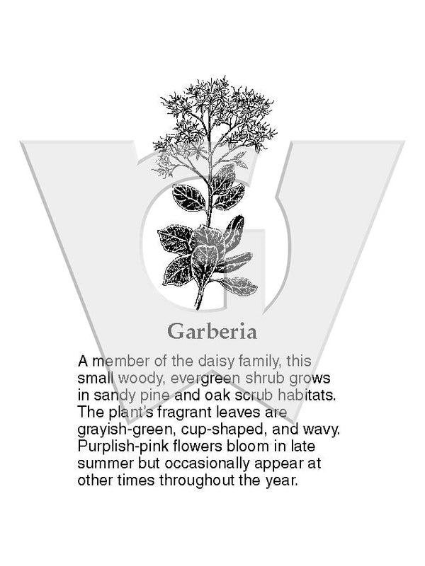 Garberia – Wilderness Graphics, Inc.