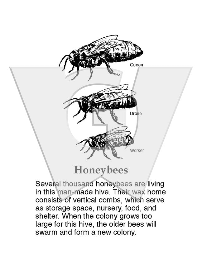 Wildebees Sign Honeybees Sign – Wilderness Graphics, Inc.