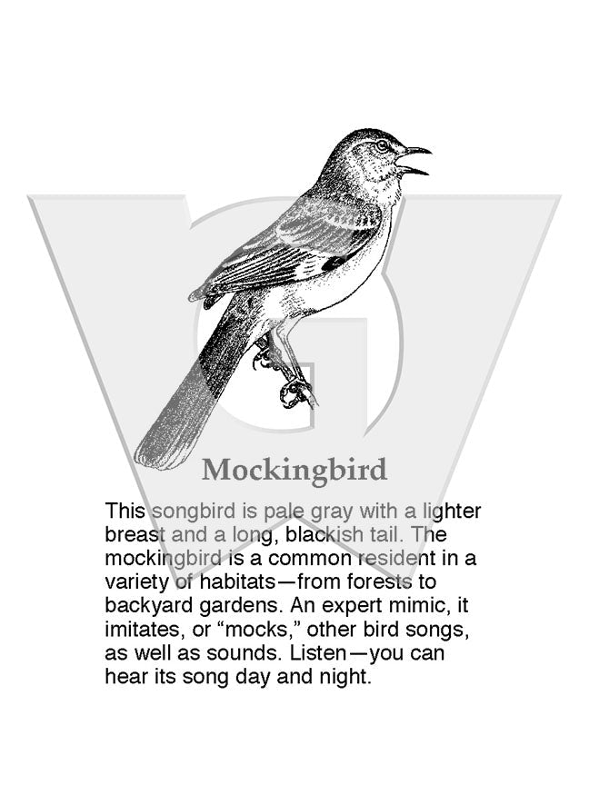 Mockingbird Sign – Wilderness Graphics, Inc.