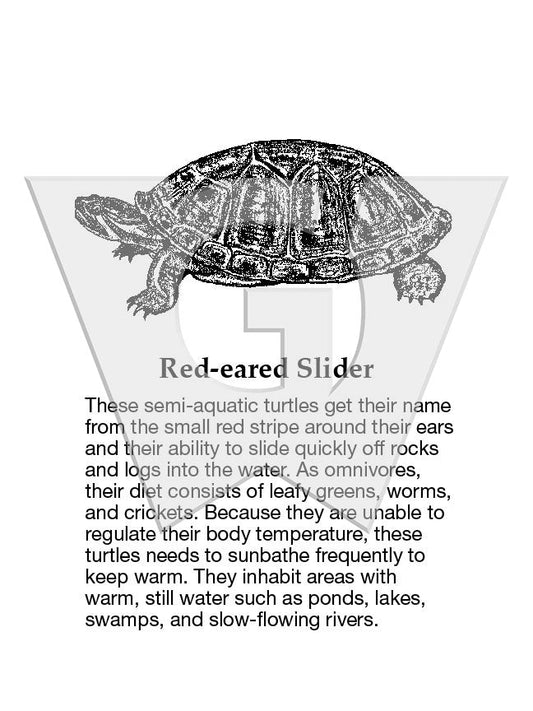 Red-eared Slider Sign